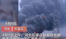 杭州工厂爆料视频曝光最新,揭秘生产现场惊人内幕