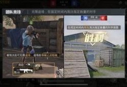 流浪者爆料最新消息视频,最新视频揭露社会现象，引发热议