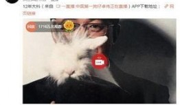 泳池事件爆料视频大全最新,揭秘惊人真相，引发社会热议