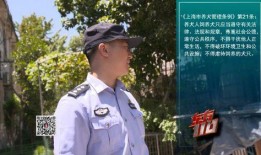 郏县辅警最新爆料消息,揭秘背后真相与内幕
