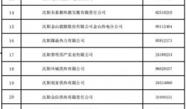 沈阳供暖最新爆料公告,官方公告解读与用户反馈汇总
