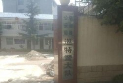 洛南爆料最新消息今天,今日热点事件最新进展揭秘！