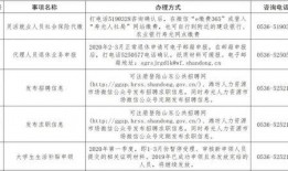 寿光最新爆料事件新闻,事件真相逐步浮出水面