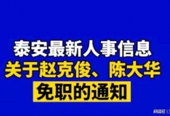大华爆料视频最新消息,揭秘事件背后惊人真相