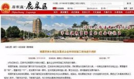 鹿泉最新爆料新闻,揭秘某重大事件背后真相